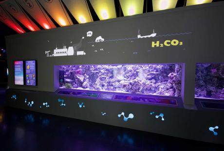 Bringing Ocean Acidification to the Surface With New Exhibit