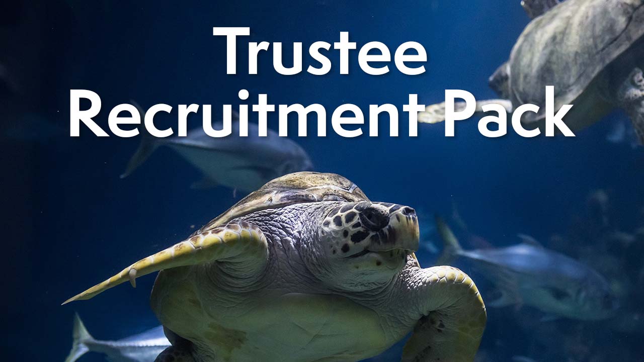 Trustee Recruitment Pack