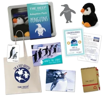 Penguin adoption pack 