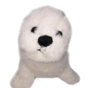 Front view of white fluffy seal