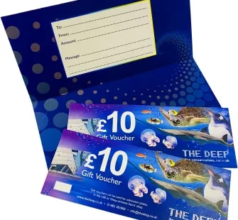 Image of the Deep Gift Vouchers