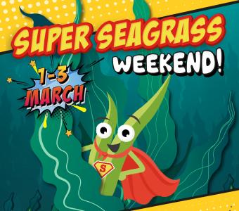Super Seagrass Weekend event image.