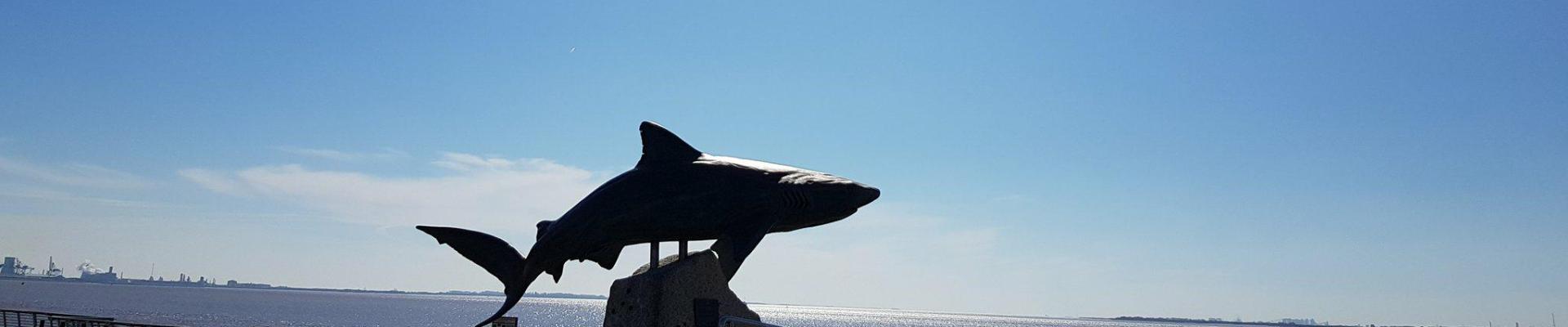 Shark Statue at The Deep