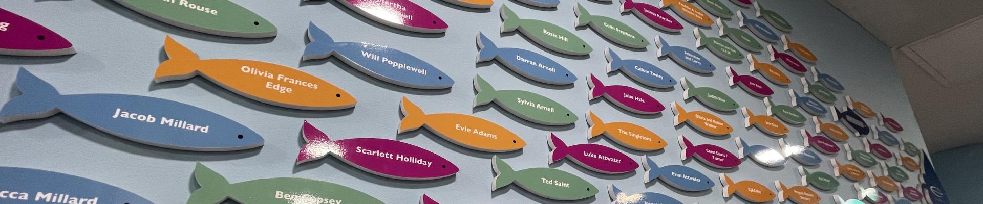 Friends of The Deep colourful and personalised fish plaques on the wall in The Deep's Reception area.