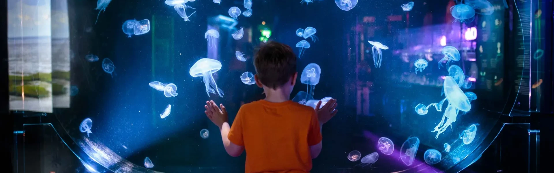 The Deep Jellyfish